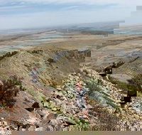 Private - Group Tour Devils Tower - Accommodation Los Angeles