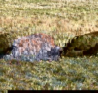 Private Tour - Badlands Delta 9 Missile Museum  Wall Drug - Accommodation Los Angeles