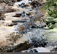 Thundering Streams and Falls of the Smokies Guided Hiking Tour - Accommodation Los Angeles