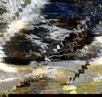 Old Growth Forest Cascade - Accommodation Los Angeles