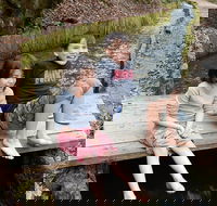 Explore a Simpler Time Smoky Mountain Tour - Accommodation Los Angeles