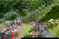 Swincar Backcountry Tour in Chattanooga