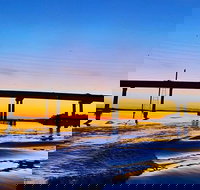 90 Minute Hilton Head Dolphin Tour - Accommodation Los Angeles