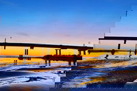 90 Minute Hilton Head Dolphin Tour