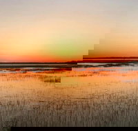 Private Hilton Head Sunset Dolphin Tour - Accommodation Los Angeles