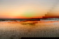 Private Hilton Head Sunset Dolphin Tour