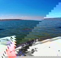 Private Hilton Head Dolphin Watching Tour with Waterfront Dining Stops - Accommodation Los Angeles