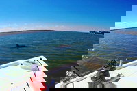 Private Hilton Head Dolphin Watching Tour with Waterfront Dining Stops