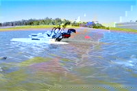 Hilton Head Guided Creek Cat Dolphin Eco Tour