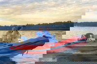 Hilton Head Guided Mini Boat Dolphin Tour