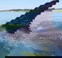 Hilton Head Jet Ski Adventure - Accommodation Los Angeles