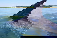 Hilton Head Jet Ski Adventure