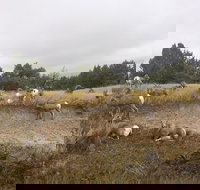 Private Badlands National Park Day Tour - Accommodation Los Angeles