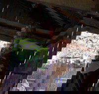 Cosmos Mystery Area Admission - Accommodation Los Angeles