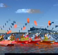 2-Hour Guided Kayak Nature Tour of Hilton Head - Accommodation Los Angeles