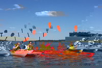 2-Hour Guided Kayak Nature Tour of Hilton Head