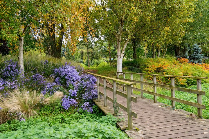 Green Places, For GROUPS Of 10-16 - thumb 3