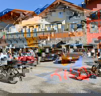 Small-Group Family-Friendly Private Cycling Sightseeing Tour - Accommodation Los Angeles