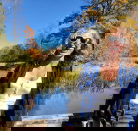 Scenic Guided Motorcycle Tours by MotoPlaN8 Handlebars - Accommodation Los Angeles