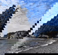 Hoh Rain Forest and Rialto Beach Guided Tour in Olympic National Park - Accommodation Los Angeles