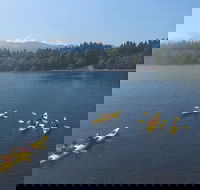 Half-Day Sea Kayaking Trip Near Olympic National Park - Accommodation Los Angeles