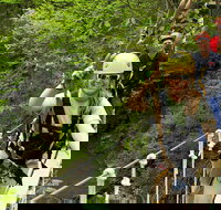 New River Gorge Zip Line Canopy Tour - Accommodation Los Angeles