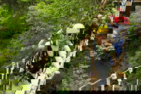 New River Gorge Zip Line Canopy Tour