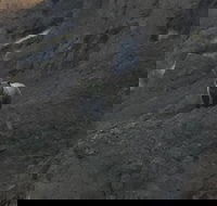 PET FRIENDLY PRIVATE Tour to Yellowstone National park - Accommodation Los Angeles