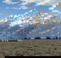 Grand Loop Yellowstone Wildlife and Photo Tour - Accommodation Los Angeles