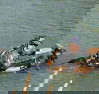 Red Canyon River Trips 9am. - Accommodation Los Angeles