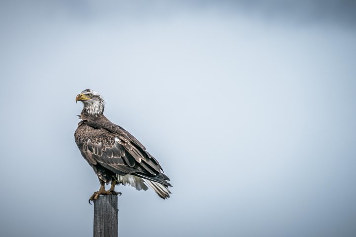 Scenic Sunrise Tour Of Grand Teton National Park - thumb 2