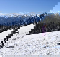 Hurricane Ridge Guided Snowshoe Tour in Olympic National Park - Accommodation Los Angeles