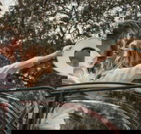 Private Historic Savannah Tour in a Vintage Citron - Accommodation Los Angeles