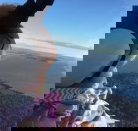 Platinum Package - Helicopter Tour with Dinner at Ruth's Chris or Capital Grille - Accommodation Los Angeles