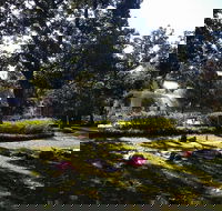 Yoga in Forsyth Park - Accommodation Los Angeles