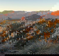 Sedona Sacred Places and Vortex Private Tour - Accommodation Los Angeles