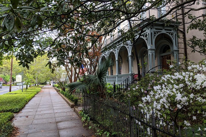 Private Tour Of Savannah's Historic District, Isle Of Hope & Bonaventure - thumb 2