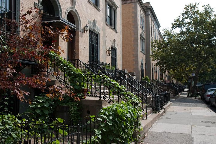 Harlem Renaissance Walking Tour With Lunch - thumb 5