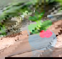 Small-Group Cocktail Tour in Denver - Accommodation Los Angeles