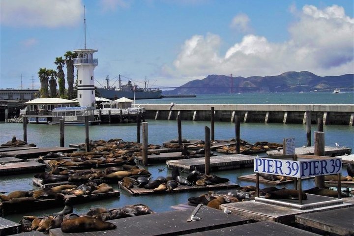 Fisherman's Wharf Walking Tour - thumb 3