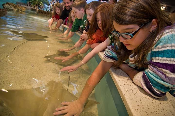 Boston CityPASS - thumb 3