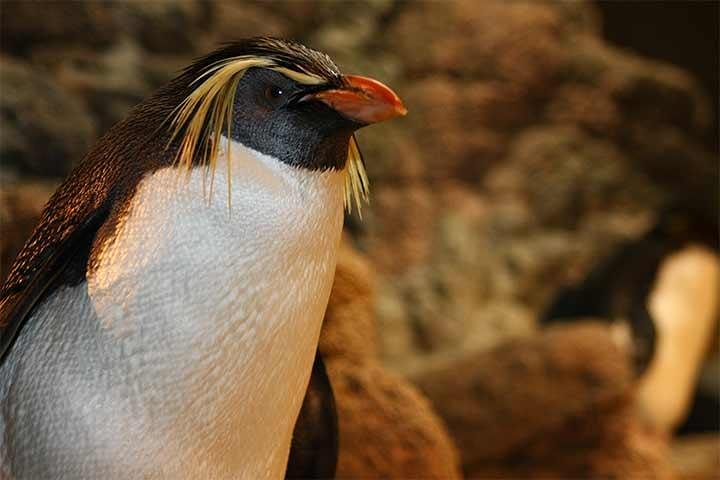 Boston CityPASS - thumb 4