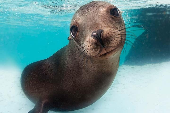 Boston CityPASS - thumb 5