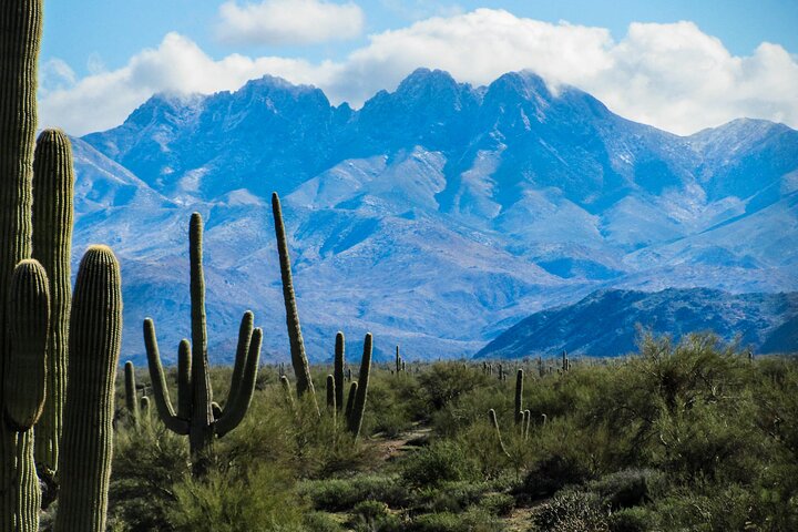 Private Half-Day Apache Trail Tour With Pickup - thumb 4