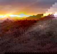 Diamondback Gulch 4x4 Open-Air Jeep Tour in Sedona - Accommodation Los Angeles