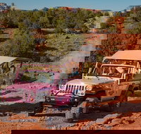 Diamondback Gulch Jeep Tour from Sedona - Accommodation Los Angeles
