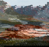 Scenic Rim 2 Hour Jeep Tour - Accommodation Los Angeles