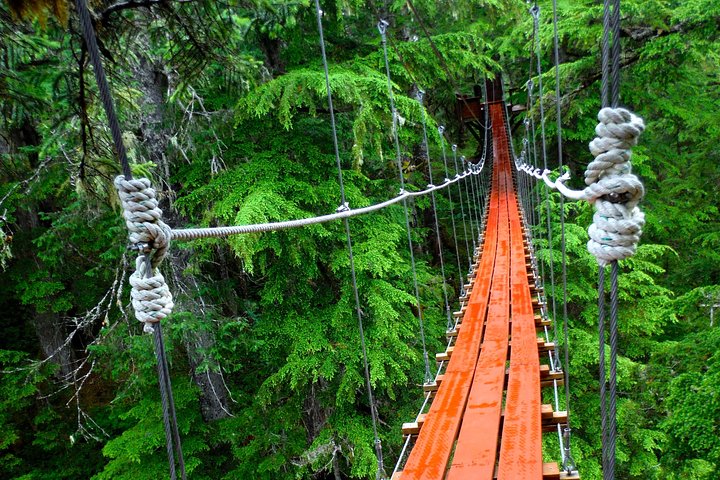 Alpine Zipline Adventure In Juneau, AK - thumb 2