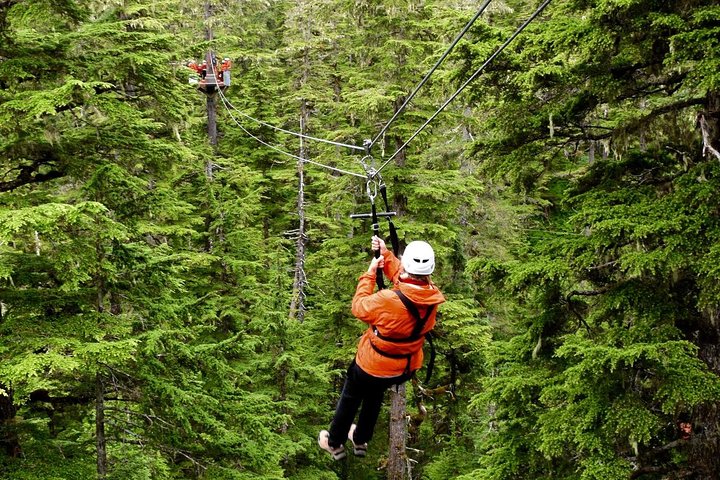 Alpine Zipline Adventure In Juneau, AK - thumb 5